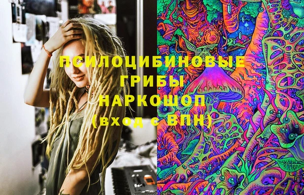 индика Киренск