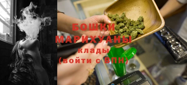индика Киренск