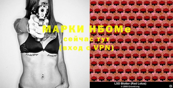 индика Киренск