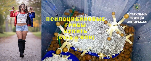 индика Киренск