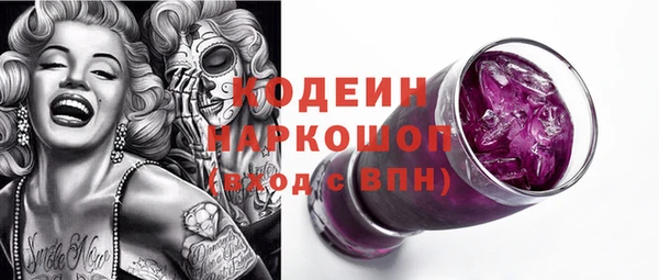 индика Киренск
