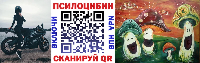 Галлюциногенные грибы Psilocybine cubensis  Купить где  Лангепас 